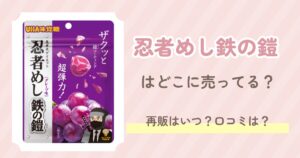 忍者めし鉄の鎧