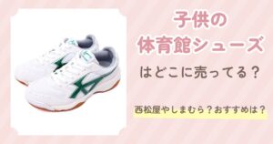 子供の体育館シューズ